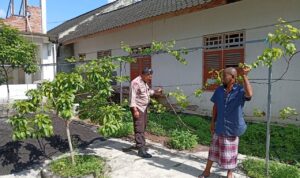 Sinergi Polri & Masyarakat: Wujudkan Swasembada Pangan di Desa Merembu