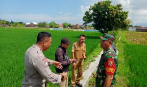 Karang Bongkot Punya Potensi! Lahan Kosong Siap Digarap Petani