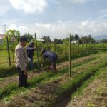 Inspiratif! Bhabinkamtibmas Ajak Warga Lombok Barat Manfaatkan Lahan untuk Ketahanan Pangan