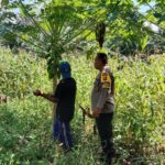 Polisi dan Petani Bersinergi, Ketahanan Pangan Jadi Prioritas!