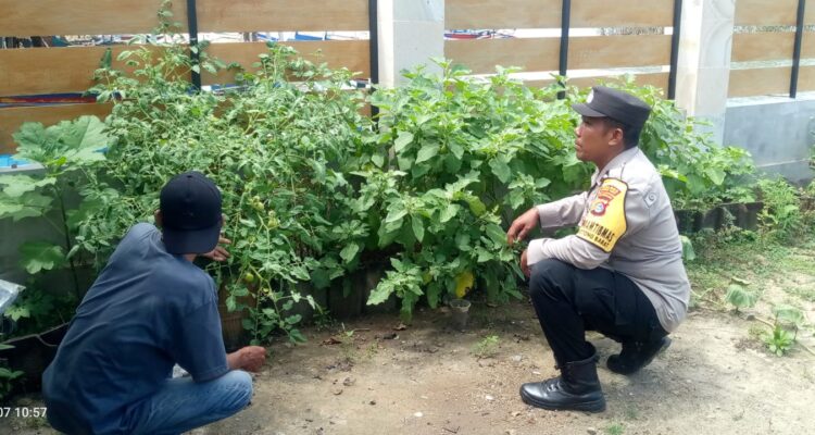 Sinergi Polri dan Warga: Kapolsek Sekotong Tinjau Pekarangan Bergizi