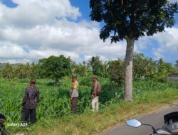 Bhabinkamtibmas Giri Tembesi Dorong Petani Lombok Barat Konsisten Rawat Tanaman