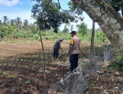 Peran Bhabinkamtibmas Dukung Ketahanan Pangan di Lombok Barat