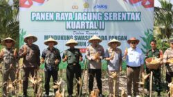 Panen Raya Jagung, Polres Loteng Dukung Swasembada Pangan Nasional. ‎