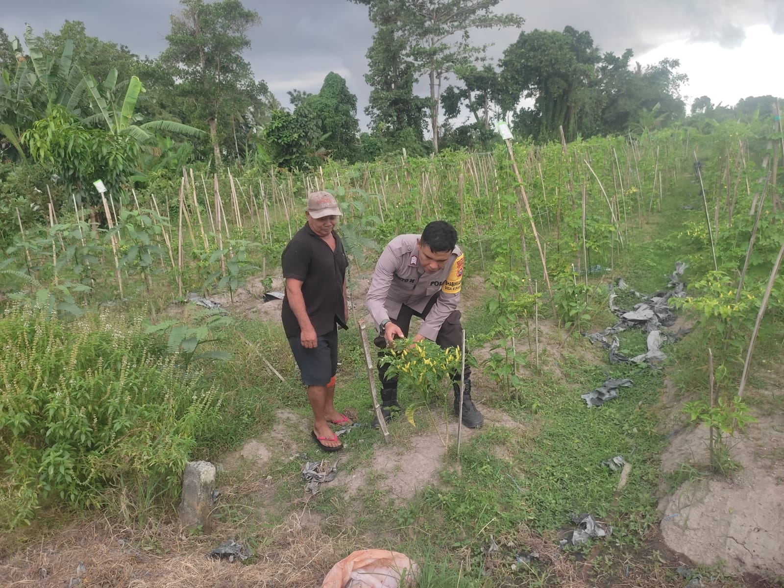 Kolaborasi Warga dan Polisi Dorong Pemanfaatan Pekarangan di Labuapi