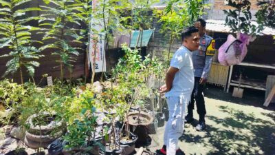 Polisi Ajak Warga Bajur Tanam Sayur Demi Ketahanan Pangan