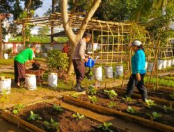 Bhabinkamtibmas Kuripan Utara Dukung Ketahanan Pangan Lewat Edukasi Pertanian
