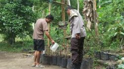 Bhabinkamtibmas Batulayar Dorong Kemandirian Pangan Lewat Pekarangan Bergizi