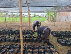 Bhabinkamtibmas Desa Air Suning Dampingi Warga Kelola Pekarangan Pangan Bergizi