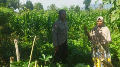 Bhabinkamtibmas Desa Kediri Dorong Ketahanan Pangan Bersama Petani Karang Kuripan