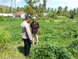 Polsek Sekotong Dampingi Petani di Desa Pesisir Mas, Dukung Ketahanan Pangan