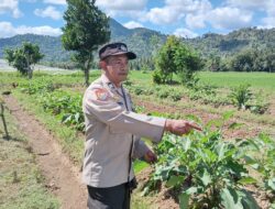 Dukung Program Asta Cita Swasembada Pangan, Bhabinkamtibmas Desa Beru Cek Pekarangan Bergizi Warga