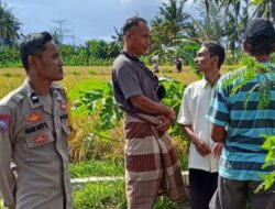 Bhabinkamtibmas Desa Rumak Perkuat Sinergi Petani Dukung Ketahanan Pangan