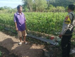 Bhabinkamtibmas Desa Benete Dampingi Warga dalam Pengelolaan Pekarangan Pangan Bergizi