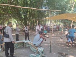 Polsek Plampang Bubarkan Tempat Perjudian Sabung Ayam di Maronge, Polisi Berikan Himbauan