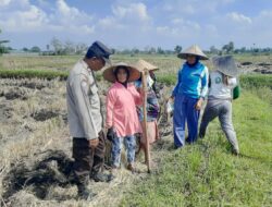 Bhabinkamtibmas Montong Are Dorong Ketahanan Pangan Lewat Pendampingan Petani