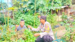 Bhabinkamtibmas Desa Mantun Dampingi Warga Kelola Pekarangan Pangan Bergizi, Dukung Ketahanan Pangan dan Program Asta Cita