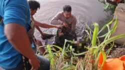 ‎Polres Loteng Evakuasi Penemuan Mayat di Aliran Sungai Kemulah.