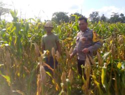 Ketahanan Pangan Dimulai dari Desa: Bhabinkamtibmas Jagaraga Dorong Pemanfaatan Lahan di Tambang Eleh