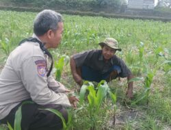 Bhabinkamtibmas Desa Sandik Dorong Warga Dukung Swasembada Pangan