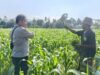 Bhabinkamtibmas Desa Sandik Dorong Warga Perkuat Swasembada Pangan