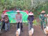 Polres Lombok Utara Gandeng Ponpes Tanam Jagung Serentak