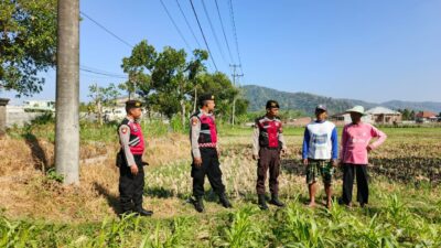 Polri Hadir Bantu Petani Jagung Wujudkan Swasembada di Lombok Barat
