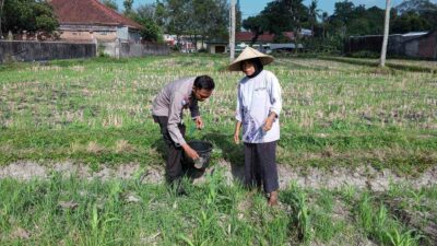 Bhabinkamtibmas Kuripan Dorong Warga Manfaatkan Pekarangan untuk Ketahanan Pangan