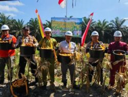 Polres Indragiri Hulu Gelar Panen Raya Jagung Dukung Program Ketahanan Pangan