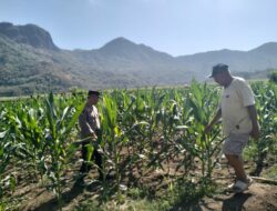 Upaya mendukung asta cita program Prioritas Nasional Pemerintah Polres Sumbawa Barat Melalui Jajaran Bhabinkamtibmas melaksanakan kegiatan pendampingan