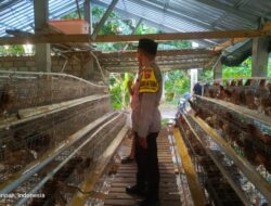 Bhabinkamtibmas Desa Jagaraga Dorong Warga Kuripan Utara Manfaatkan Pekarangan untuk Ketahanan Pangan