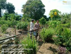 Polres Sumbawa Dukung Ketahanan Pangan, Personel Polsek Alas Sambangi Lahan Pertanian