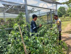 BHABINKAMTIBMAS TONGO DAMPINGI WARGA KELOLA LAHAN PEKARANGAN UNTUK PANGAN BERGIZI