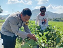 BHABINKAMTIBMAS DESA MOTENG DAMPINGI MASYARAKAT KELOLA LAHAN PANGAN KREATIF