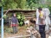 Bhabinkamtibmas Dorong Ketahanan Pangan di Dusun Lamper, Jagaraga Kuripan