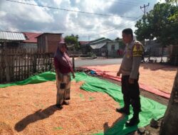 Bhabinkamtibmas Cempi Jaya Pantau Hasil Panen Warga, Dorong Semangat Ketahanan Pangan