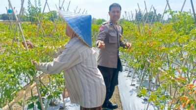 Bhabinkamtibmas Desa Perampuan Dorong Warga Karang Bayan Manfaatkan Lahan Bergizi