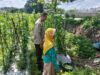 Polisi dan Petani Desa Labuapi Bersinergi Jaga Ketahanan Pangan Nasional