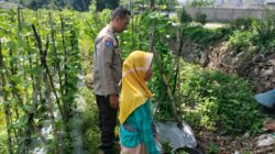 Polisi dan Petani Desa Labuapi Bersinergi Jaga Ketahanan Pangan Nasional