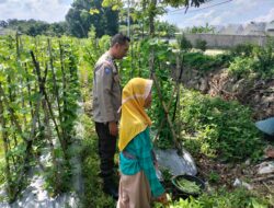 Polisi dan Petani Desa Labuapi Bersinergi Jaga Ketahanan Pangan Nasional