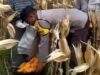 Silaturahmi Bhabinkamtibmas di Karang Anyar: Dorong Petani Jual Jagung ke Bulog