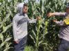 BHABINKAMTIBMAS POLSEK KEMPO DUKUNG KETAHANAN PANGAN MELALUI PEMANTAUAN LAHAN JAGUNG