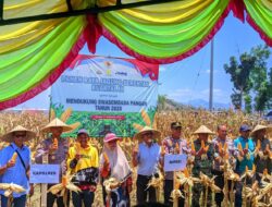 POLRES DOMPU DUKUNG PROGRAM SWASEMBADA PANGAN MELALUI PANEN RAYA JAGUNG SERENTAK KUARTAL III