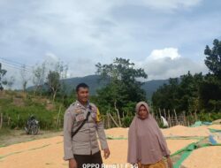 BHABINKAMTIBMAS DESA ADU DUKUNG PROGRAM KETAHANAN PANGAN NASIONAL