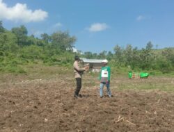 Bhabinkamtibmas Rababaka Dukung Ketahanan Pangan Lewat Pendampingan Petani