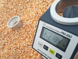 Infrastruktur Jalan Ekstrem Hambat Distribusi Jagung Petani Sekotong