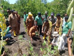 Bupati Dompu Pimpin Penanaman Mangrove di Pantai Nanga Na’e, Polri dan Masyarakat Siap Rawat Bersama