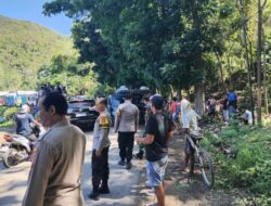 Semarak Karapan Kerbau Meriahkan Festival Budaya Pesona Tamekan 2025 di Sumbawa Barat