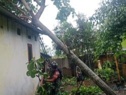 Hujan Deras dan Angin Kencang, Babinsa Gerak Cepat di Jagaraga