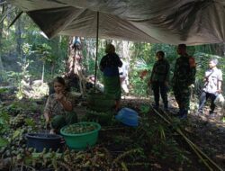 Kolaborasi Babinsa dan Kehutanan Jaga Kelestarian Hutan Batulayar